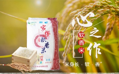 金籮米業